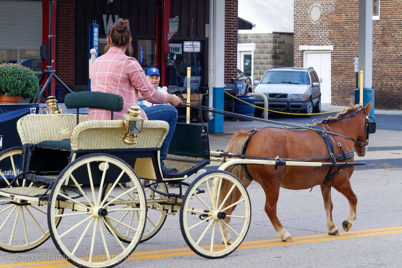 2026 Pony Wagon Days Festival